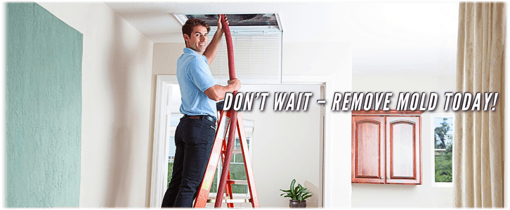 Air Duct Mold Removal in Fort Lauderdale