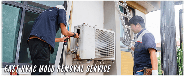 HVAC Mold Removal Fort Lauderdale
